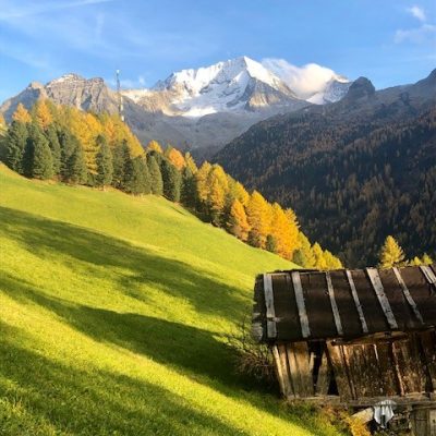 Herbst Herbst