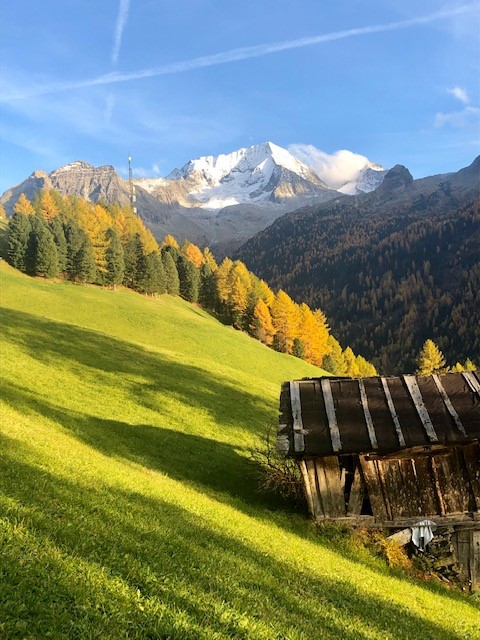 Goldenes Herbst-Geschenk 2026